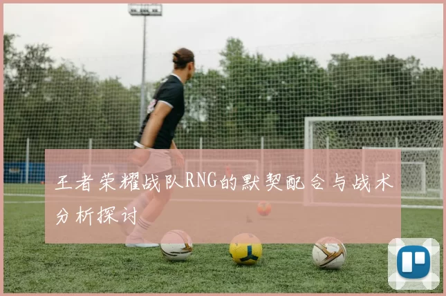 王者荣耀战队RNG的默契配合与战术分析探讨