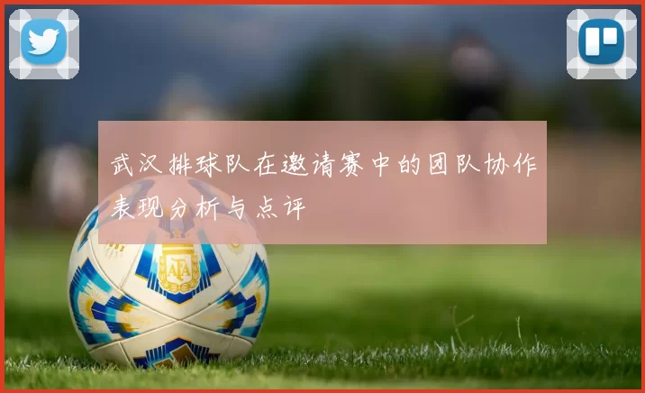武汉排球队在邀请赛中的团队协作表现分析与点评