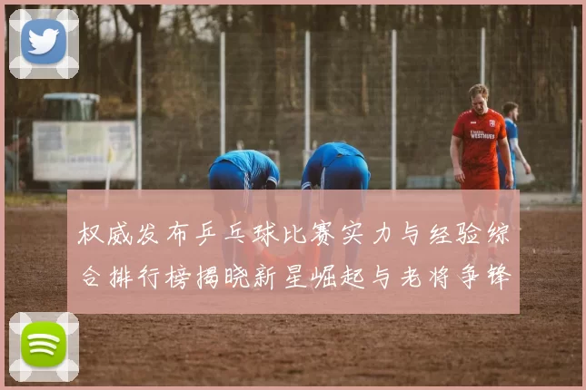 权威发布乒乓球比赛实力与经验综合排行榜揭晓新星崛起与老将争锋
