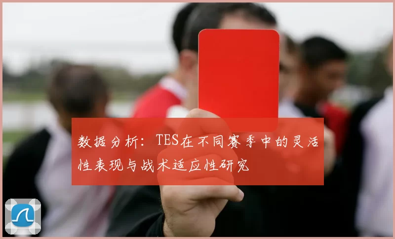 数据分析：TES在不同赛季中的灵活性表现与战术适应性研究