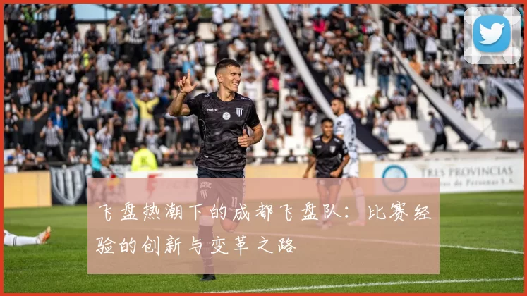 飞盘热潮下的成都飞盘队：比赛经验的创新与变革之路