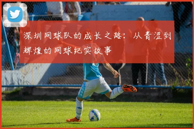 深圳网球队的成长之路：从青涩到辉煌的网球纪实故事