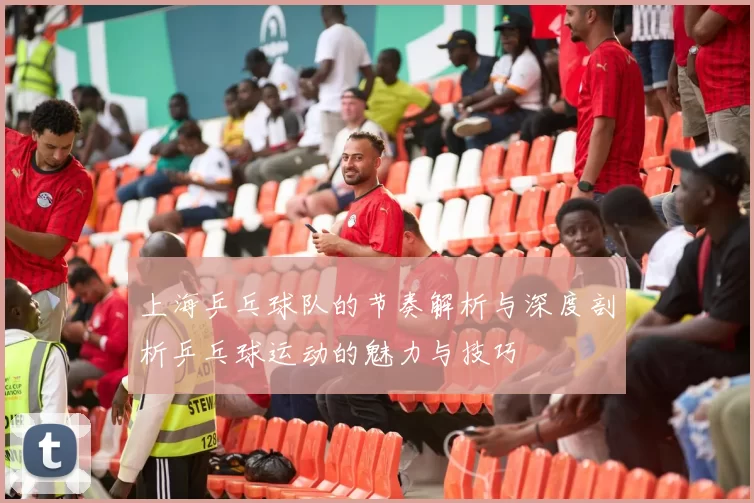 上海乒乓球队的节奏解析与深度剖析乒乓球运动的魅力与技巧