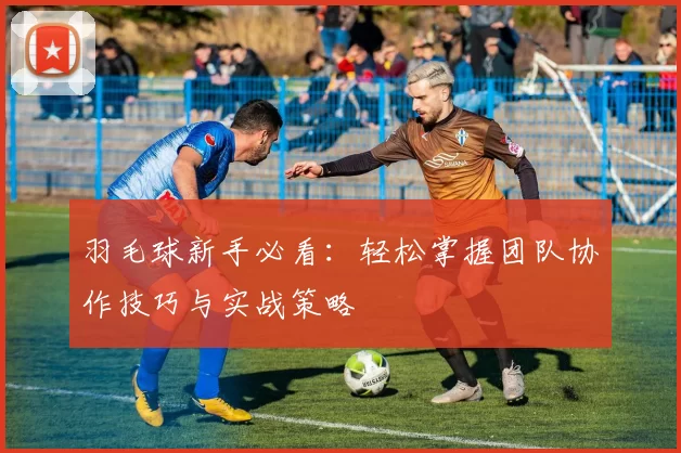 羽毛球新手必看：轻松掌握团队协作技巧与实战策略