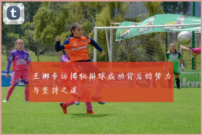 王娜专访揭秘排球成功背后的努力与坚持之道