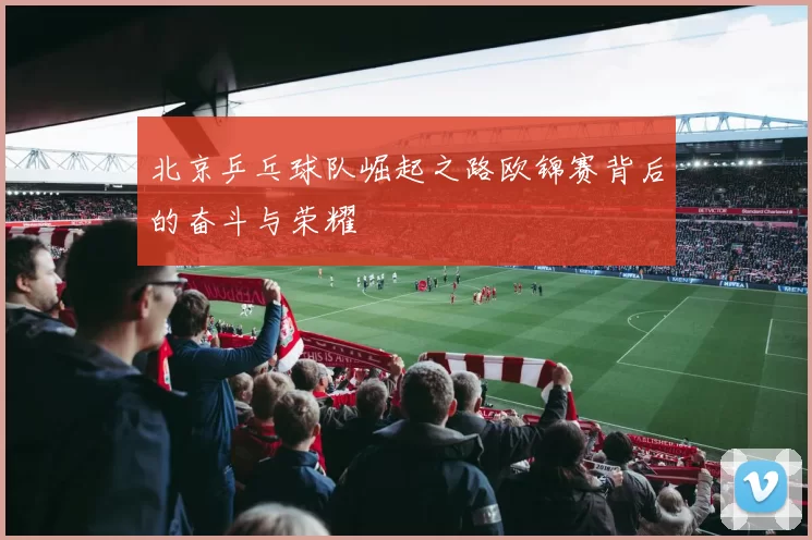 北京乒乓球队崛起之路欧锦赛背后的奋斗与荣耀