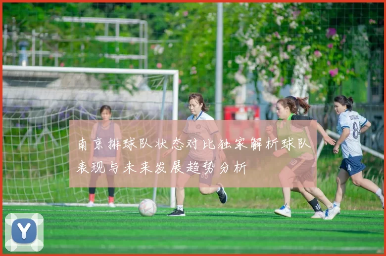 南京排球队状态对比独家解析球队表现与未来发展趋势分析