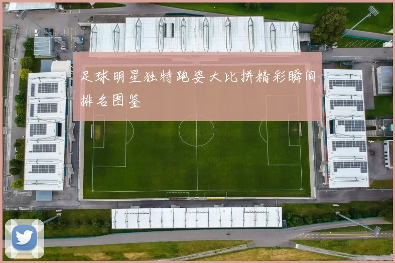 足球明星独特跑姿大比拼精彩瞬间排名图鉴